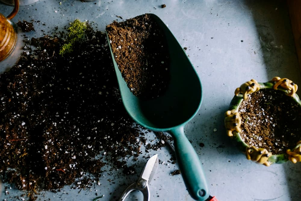Gardening tools and soil ready for planting
